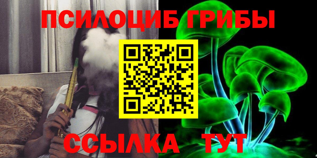 Галлюциногенные грибы Psilocybe Новокуйбышевск